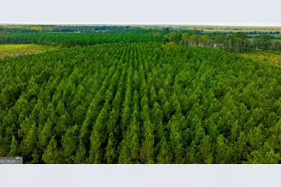 0 Hudson Ferry Rd. & Newington Highway, Newington, GA 30446 - Photo 3