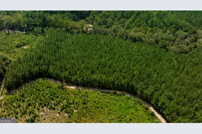 0 Hudson Ferry Rd. & Newington Highway, Newington, GA 30446 - Photo 27