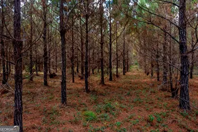 0 Hudson Ferry Rd. & Newington Highway, Newington, GA 30446 - Photo 11