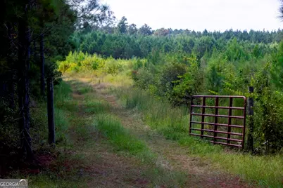 0 Hudson Ferry Rd. & Newington Highway, Newington, GA 30446 - Photo 21