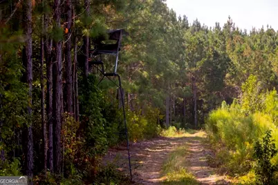 0 Hudson Ferry Rd. & Newington Highway, Newington, GA 30446 - Photo 17