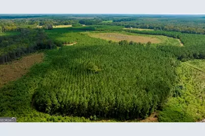 0 Hudson Ferry Rd. & Newington Highway, Newington, GA 30446 - Photo 29