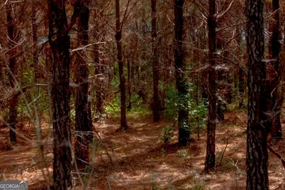 0 Hudson Ferry Rd. & Newington Highway, Newington, GA 30446 - Photo 9