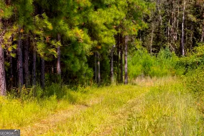 0 Hudson Ferry Rd. & Newington Highway, Newington, GA 30446 - Photo 13