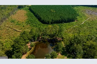 0 Hudson Ferry Rd. & Newington Highway, Newington, GA 30446 - Photo 37