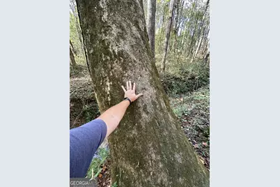 100 Mimosa Road, Griffin, GA 30223 - Photo 25