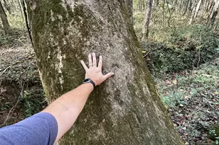 100 Mimosa Rd, Griffin, GA 30223 - Photo 25