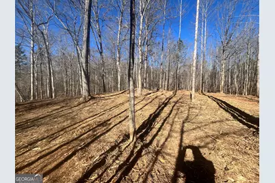 3853 Reservoir Drive #TRACT 12, Gainesville, GA 30507 - Photo 3