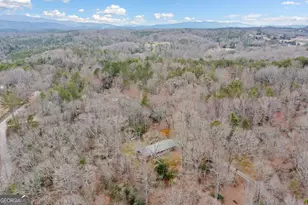 320 Old Hwy 2, Blue Ridge, GA 30513 - Photo 31