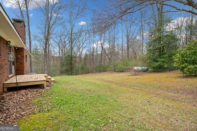 320 Old Highway 2, Blue Ridge, GA 30513 - Photo 41