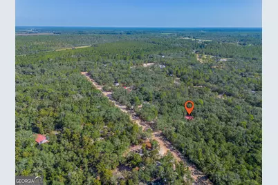 5768 Holly Drive, Blackshear, GA 31516 - Photo 21