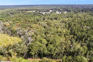 1452 Redwine Rd, Fayetteville, GA 30215 - Photo 77