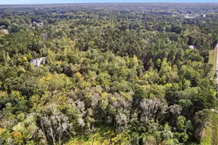 1452 Redwine Rd, Fayetteville, GA 30215 - Photo 79