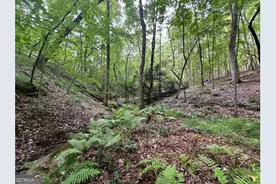 0 Vinson Mountain Road, Rockmart, GA 30153 - Photo 3