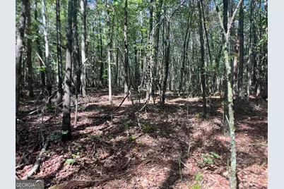 0 Berea Road, Commerce, GA 30529 - Photo 9