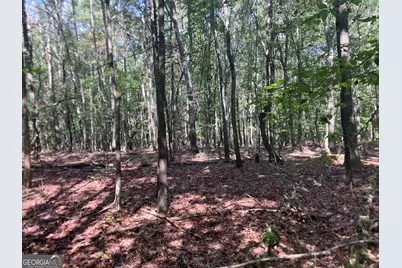 0 Berea Road, Commerce, GA 30529 - Photo 7