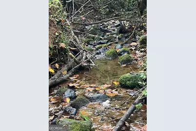 0 Berea Road, Commerce, GA 30529 - Photo 3