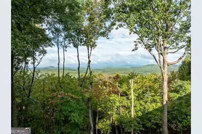 175 Oak Ledge Road, Morganton, GA 30560 - Photo 17