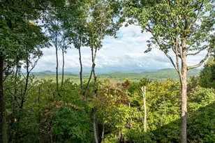 175 Oak Ledge Rd, Morganton, GA 30560 - Photo 17