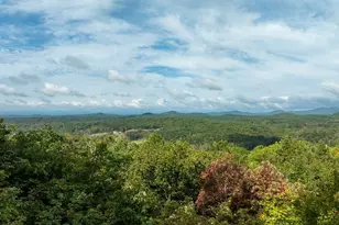 175 Oak Ledge Rd, Morganton, GA 30560 - Photo 19