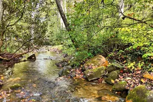 2515 Rd 9999, Hiawassee, GA 30546 - Photo 47