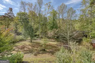 2515 Rd 9999, Hiawassee, GA 30546 - Photo 11