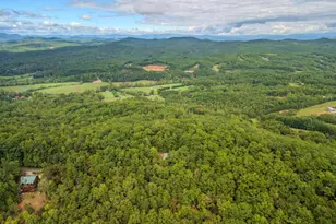 380 Oak Ridge Way Dr, Morganton, GA 30560 - Photo 59