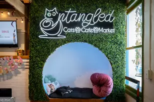 1192 Mars Hill Rd, Watkinsville, GA 30677 - Photo 19