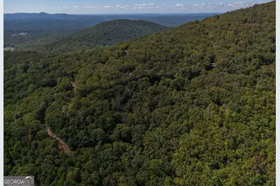 0 Little Hendricks Mountain Road, Jasper, GA 30143 - Photo 5