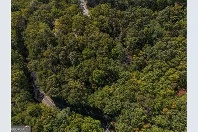 0 Little Hendricks Mountain Road, Jasper, GA 30143 - Photo 9