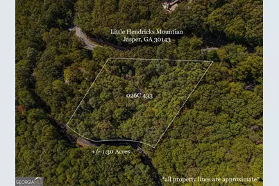 0 Little Hendricks Mountain Road, Jasper, GA 30143 - Photo 1