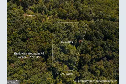 0 Shadowick Mountain Road, Jasper, GA 30143 - Photo 1
