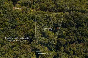 0 Shadowick Mountain Rd, Jasper, GA 30143 - Photo 1