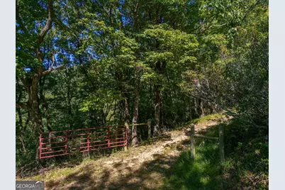 0 Shadowick Mountain Road, Jasper, GA 30143 - Photo 11