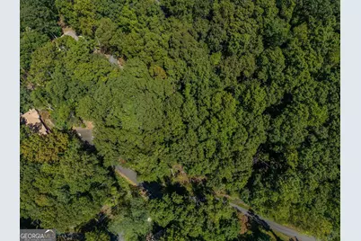 0 Denny Ridge Road, Jasper, GA 30143 - Photo 15