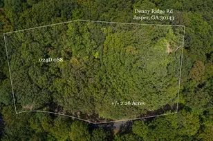 0 Denny Ridge Rd, Jasper, GA 30143 - Photo 1