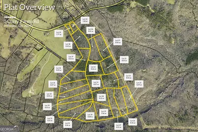 0 Curry Farms Road #LOT 13, Jefferson, GA 30549 - Photo 3