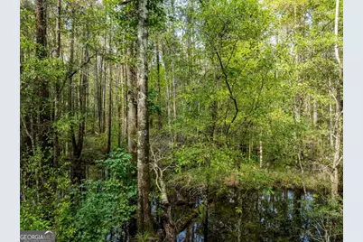 0 Hodgeville Road, Rincon, GA 31326 - Photo 3