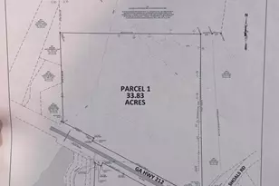 0 Island Shoals Rd, Covington, GA 30016 - Photo 1