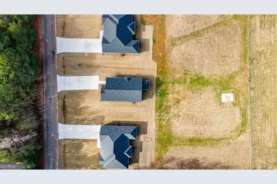 166 Mathews Road, Milner, GA 30257 - Photo 31