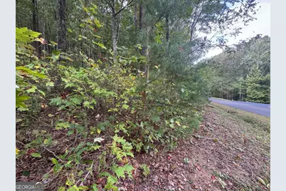 174 Trailwood #174, Ellijay, GA 30536 - Photo 9