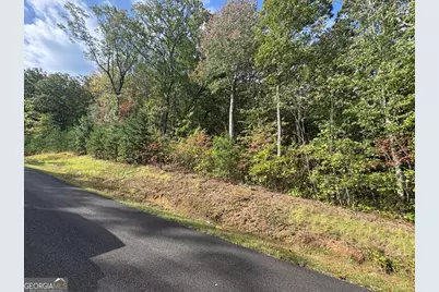 174 Trailwood #174, Ellijay, GA 30536 - Photo 13