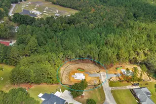 228 Welsh Trail, Macon, GA 31216 - Photo 43