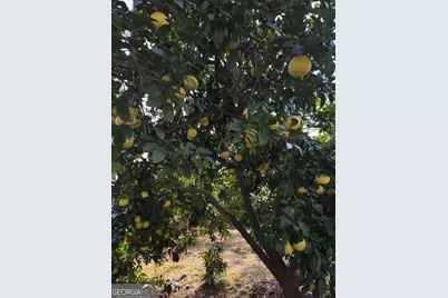 511 W Smith Street, Claxton, GA 30417 - Photo 51