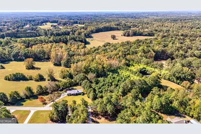 114 Dingler Road, Moreland, GA 30259 - Photo 31