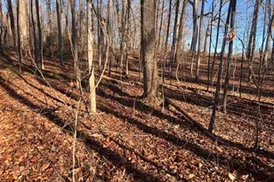 219 Signing Tree Ln, Clarkesville, GA 30523 - Photo 5