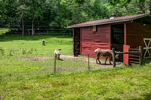 138 Wolf Creek Estates, Mineral Bluff, GA 30559 - Photo 7