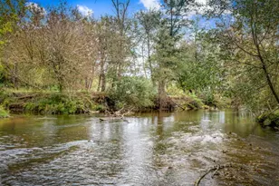 450 Cartecay Riv Run, Ellijay, GA 30536 - Photo 53