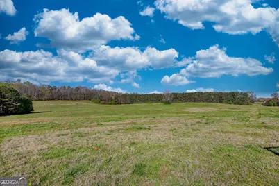 610 Loth Wages Road, Dacula, GA 30019 - Photo 9