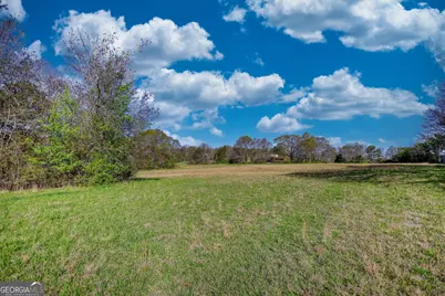 610 Loth Wages Road, Dacula, GA 30019 - Photo 15